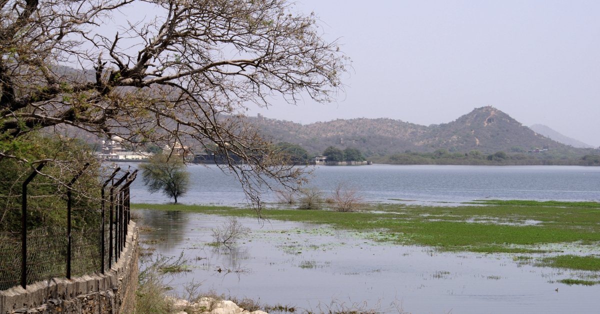 Bengaluru’s Lakes In Crisis