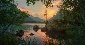 Can Bengaluru’s Lakes Be Saved Deep Dive