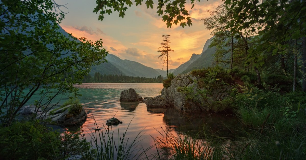 Can Bengaluru’s Lakes Be Saved Deep Dive