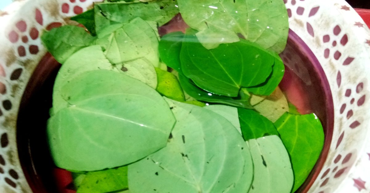 How Paan Supari (Betel Nut) Reached India