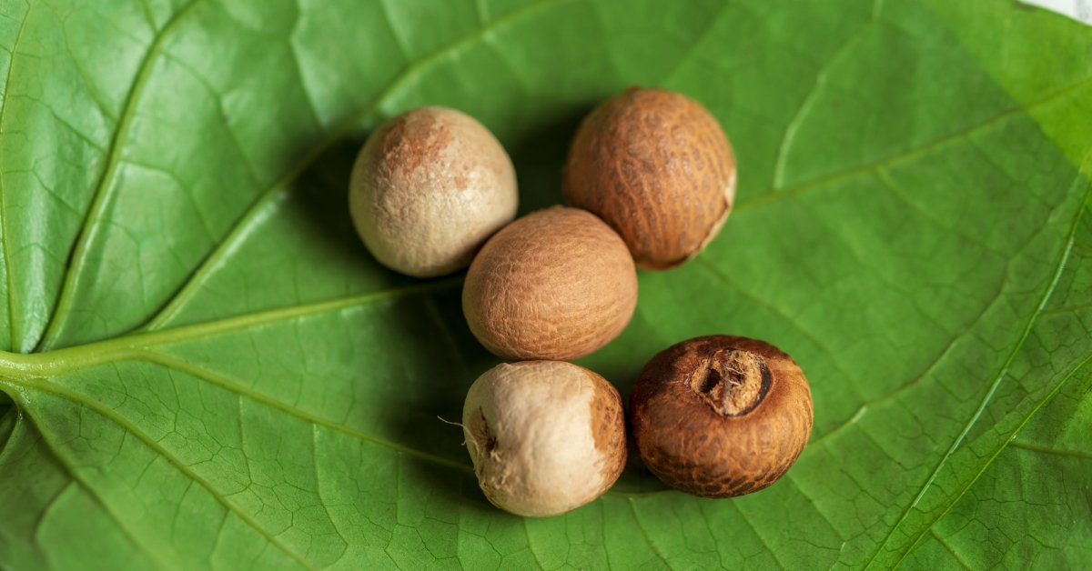 How Paan Supari (Betel Nut) Reached India