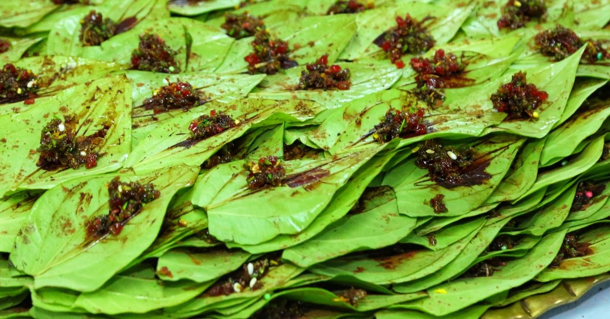 How Paan Supari (Betel Nut) Reached India