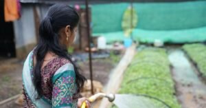 India's Four Labour Codes Wages, Safety, Social SecurityIndia's Four Labour Codes Wages, Safety, Social SecurityIndia's Four Labour Codes Wages, Safety, Social SecurityIndia's Four Labour Codes Wages, Safety, Social SecurityIndia's Four Labour Codes Wages, Safety, Social Security