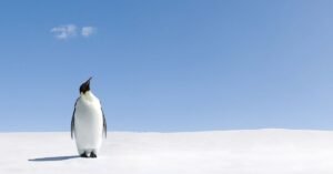 Why Werner Herzog's Nihilist Penguin Is Viral In 2026